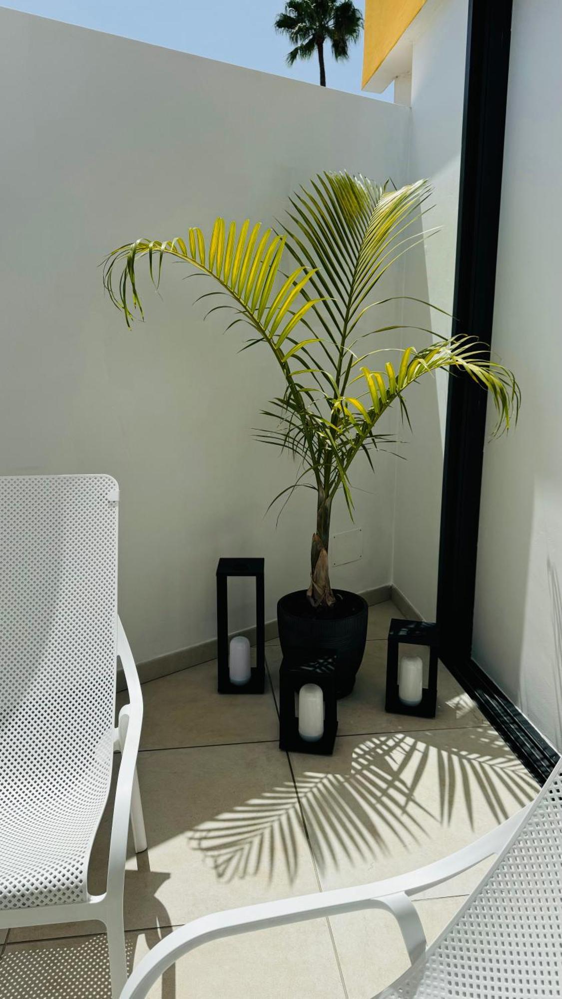 Bungalow Siena Center Playa Del Ingles Maspalomas  Exteriör bild