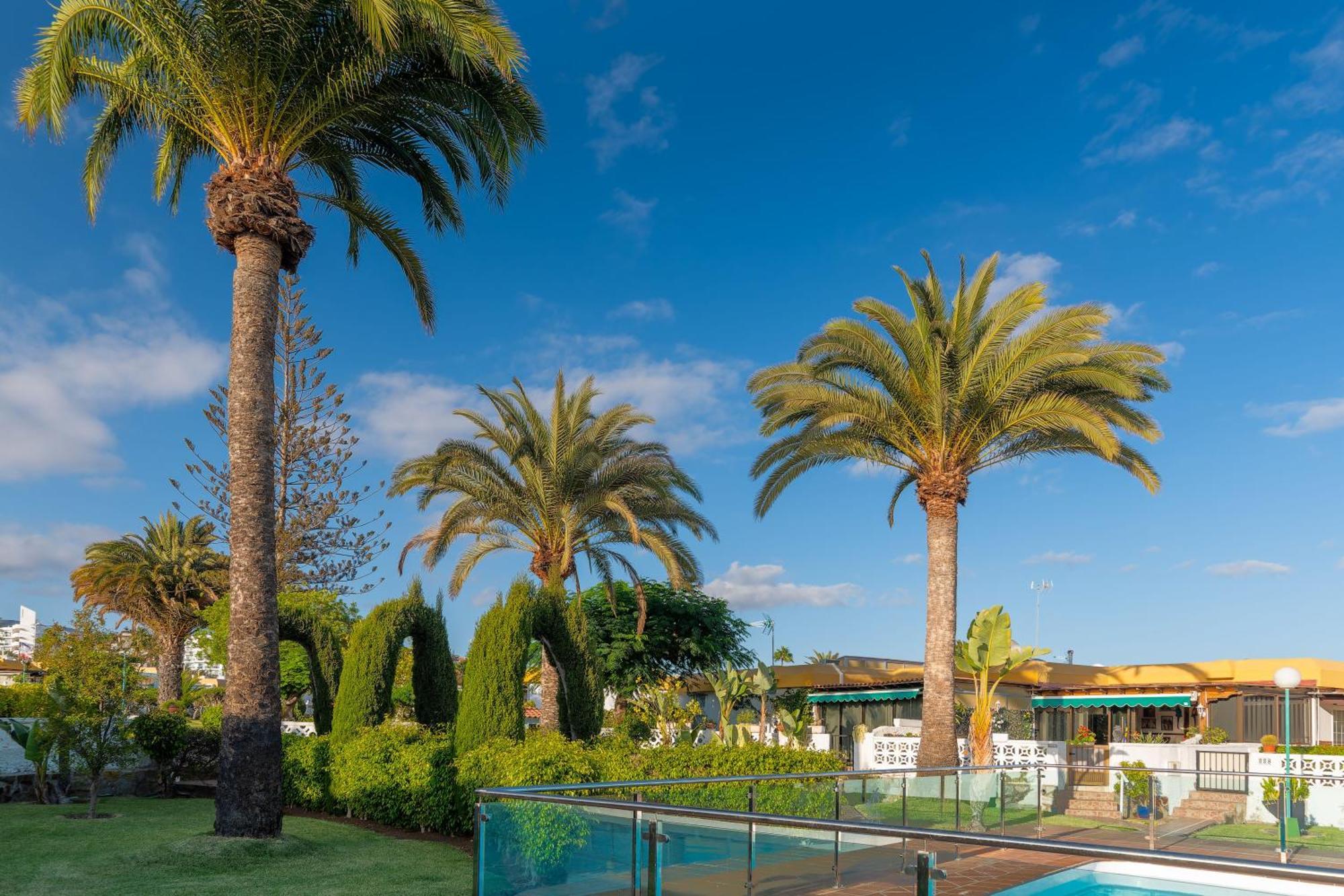 Bungalow Siena Center Playa Del Ingles Maspalomas  Exteriör bild